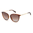 Lentes de Sol con Estuche - 2