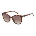 Lentes de Sol con Estuche - 2