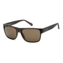 Lentes de Sol con Estuche - 2