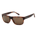 Lentes de Sol con Estuche - 2
