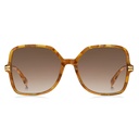 Lentes de Sol con estuche